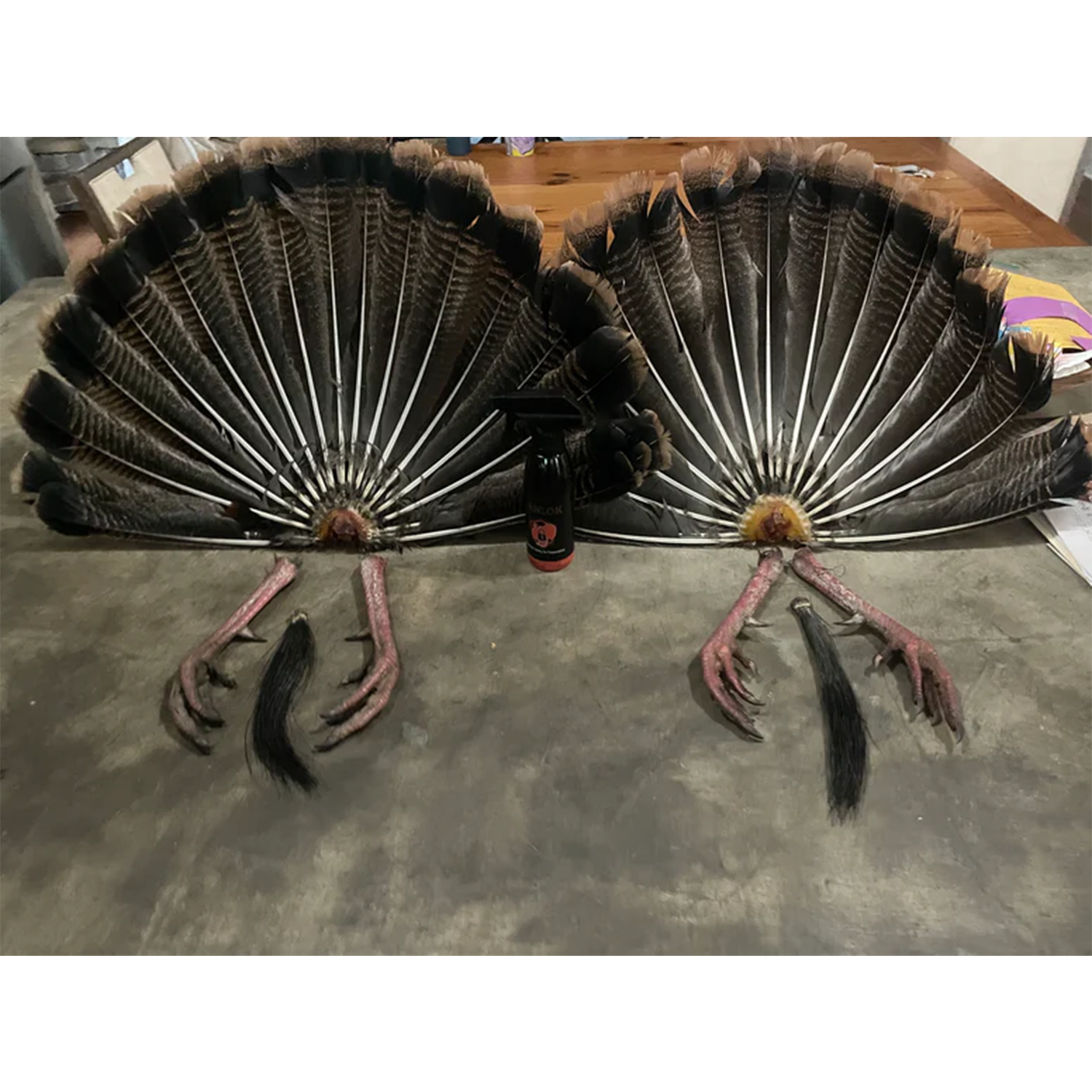 FanLok - Turkey Tail Preservation