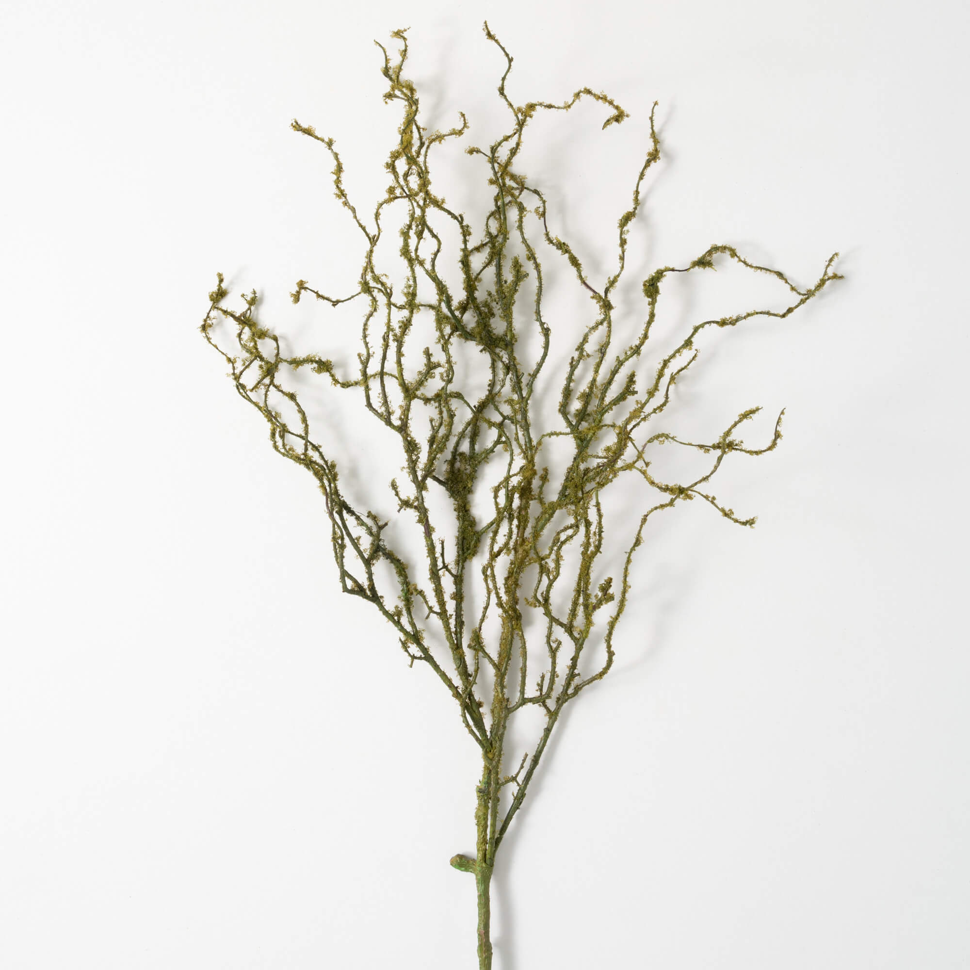 Twig Branch w/ Moss