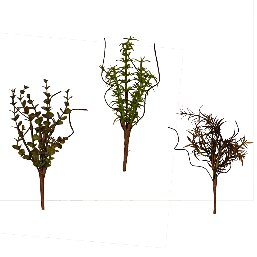 Branchy Picks (Set of 3)