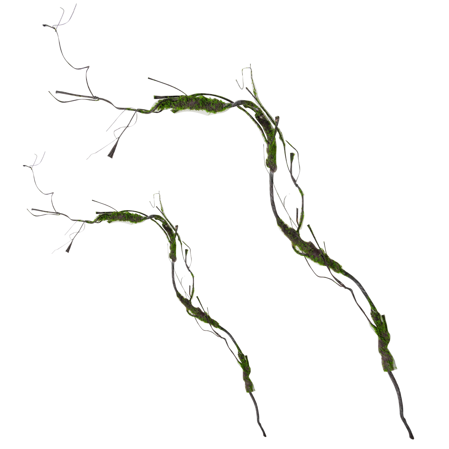 Twig Branch w/ Moss (Set of 2)