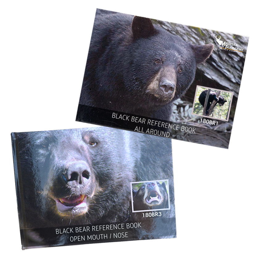 Black Bear Reference Books by Phil Wilson