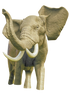 Elephant - Standing/Charging Right Turn