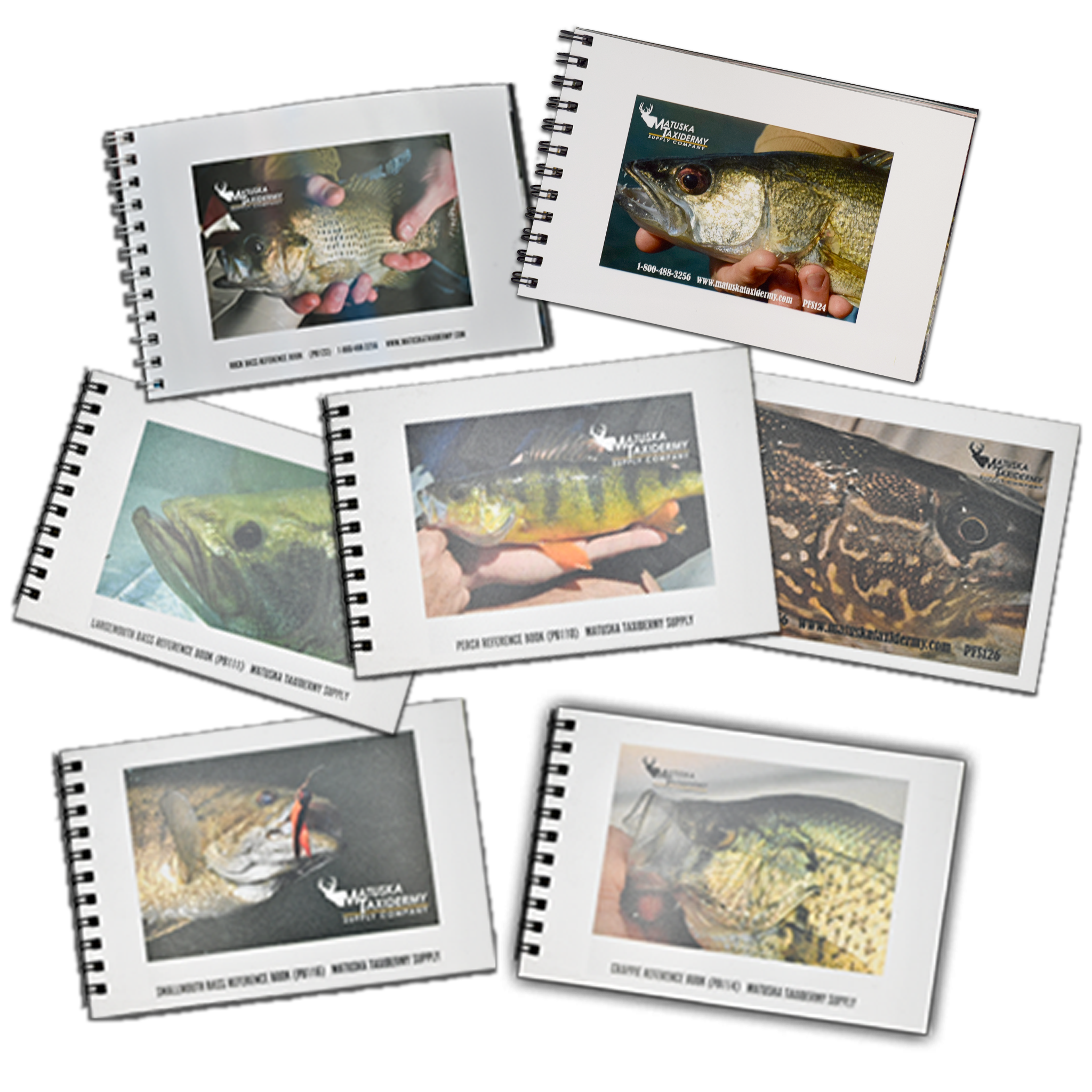 Fish Photo Books (4 x 6)