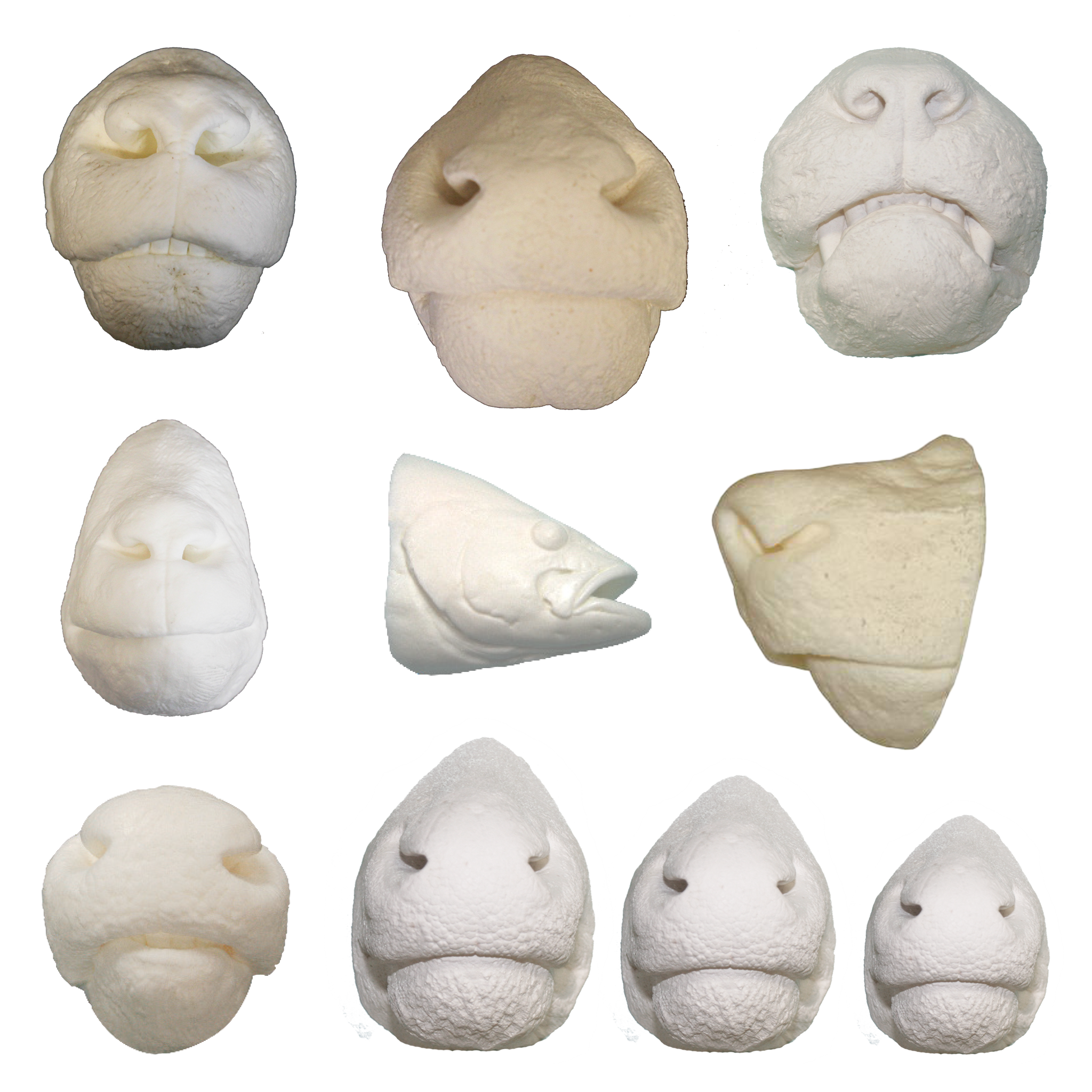 Nose Reference Casts