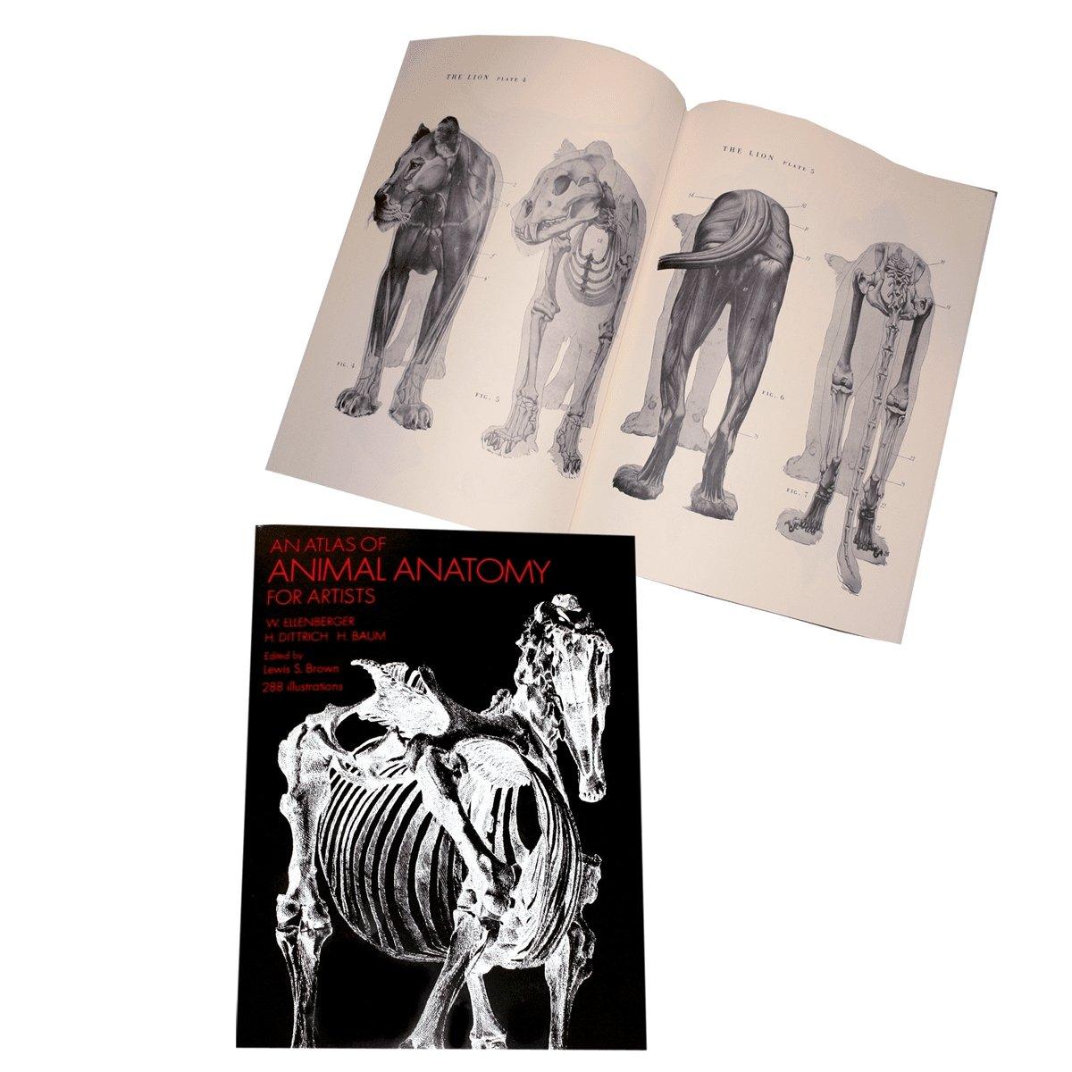 Atlas of Animal Anatomy - Matuska Taxidermy Supply Company