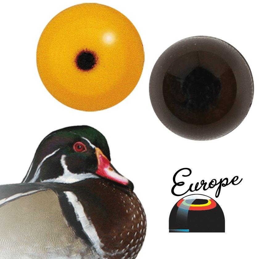 Bird Eyes (Europe) - Matuska Taxidermy Supply Company