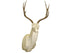 Deer-Mule (Upright) by Gary Zehner - Matuska Taxidermy Supply Company