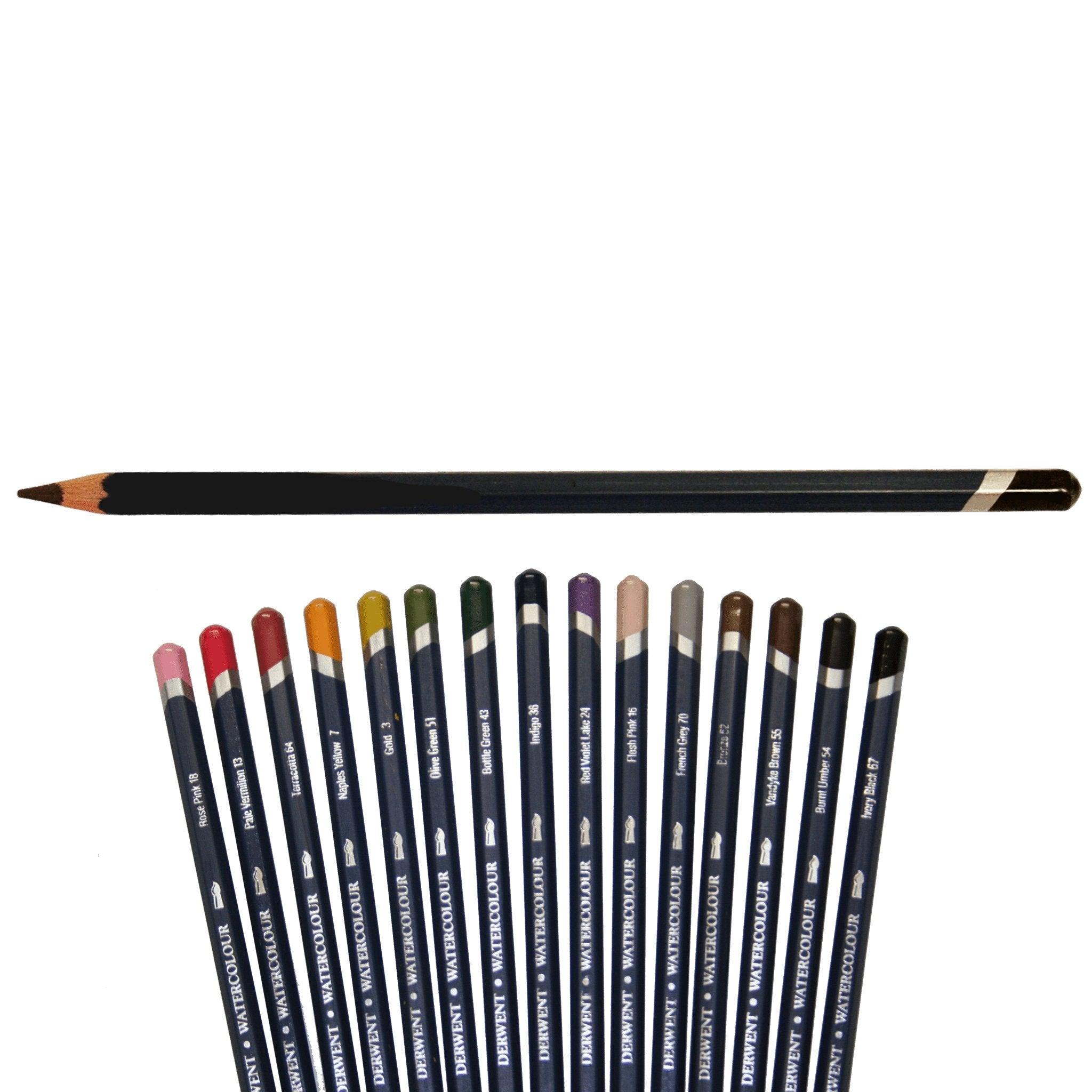 Derwent WaterColour Pencils for Fish