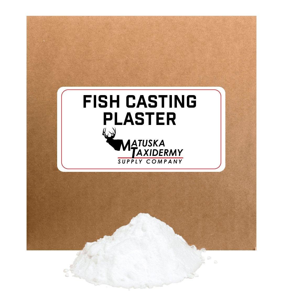 Plaster (Fish Casting) by Zehner - Matuska Taxidermy Supply Company