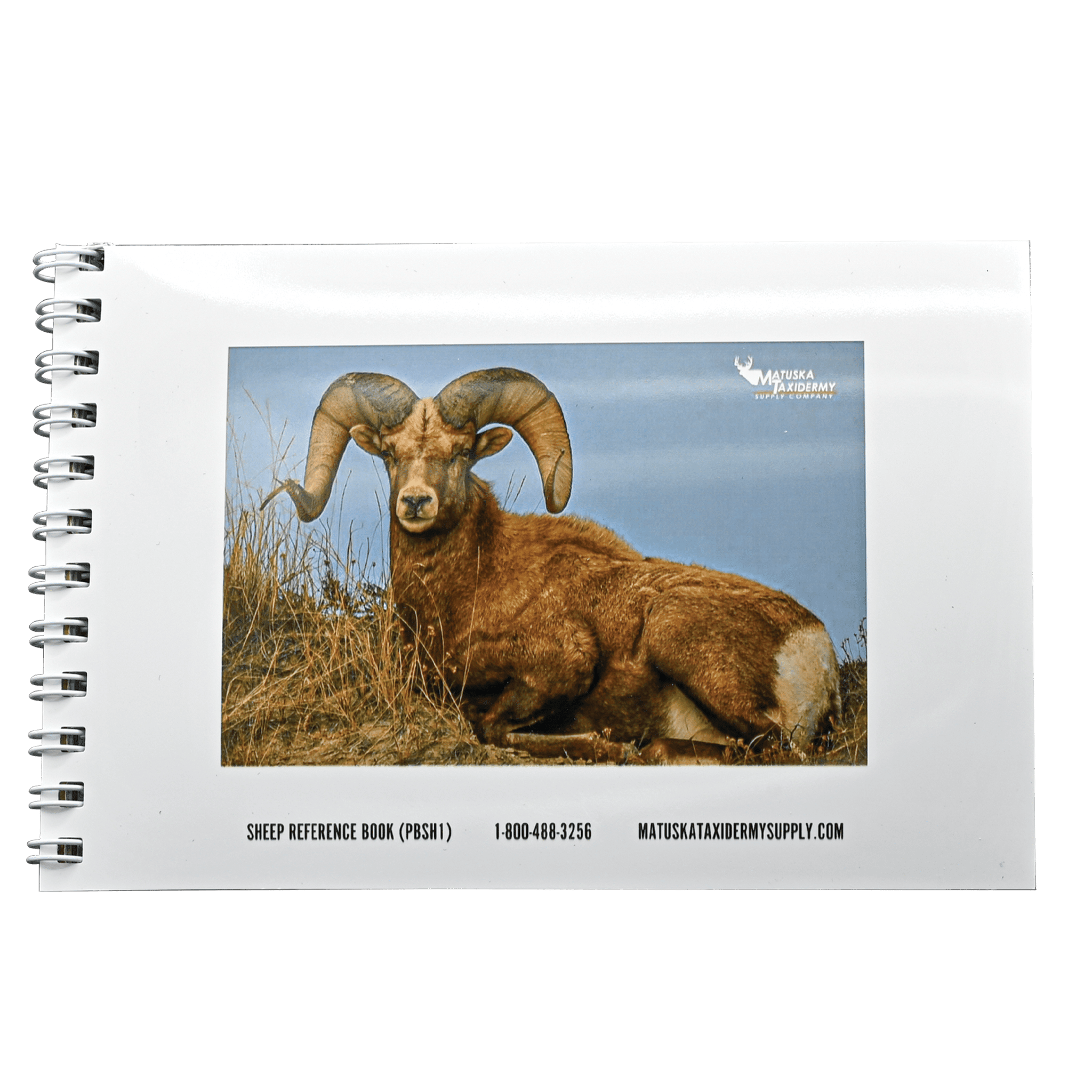 Sheep Reference Book (4 x 6) - Matuska Taxidermy Supply Company