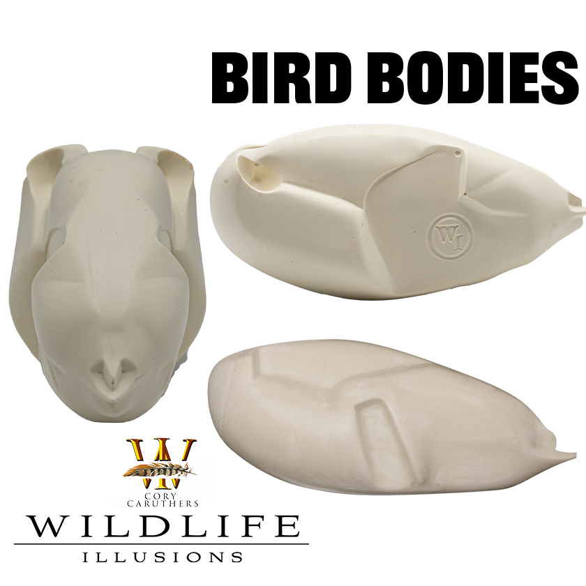 Bird Bodies