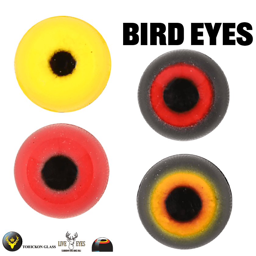 Bird Eyes - Matuska Taxidermy Supply Company