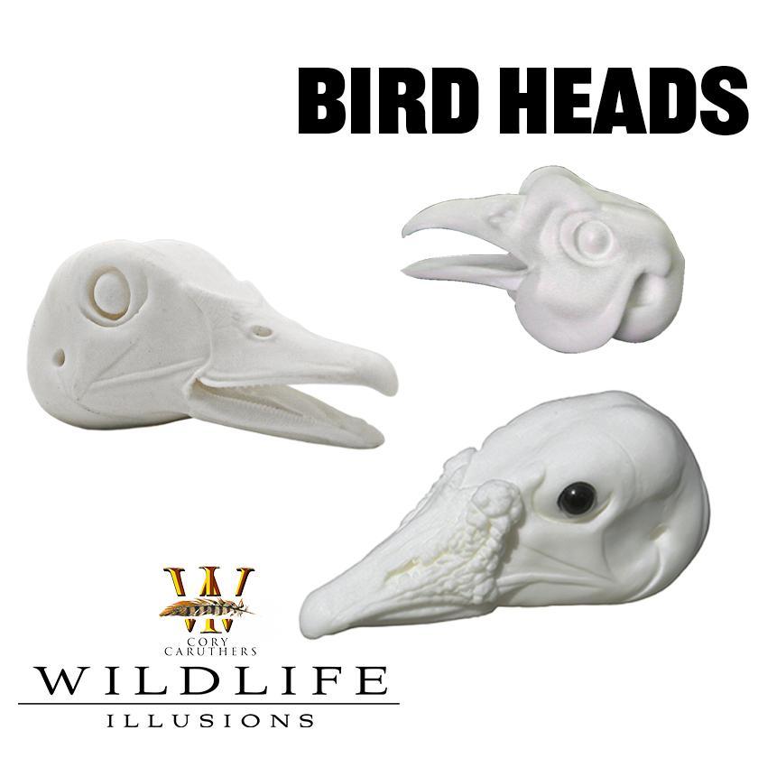 Bird Heads - Matuska Taxidermy Supply Company