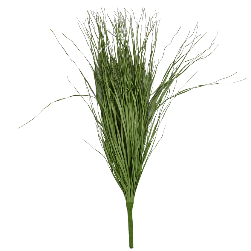 Onion Grass Bundle