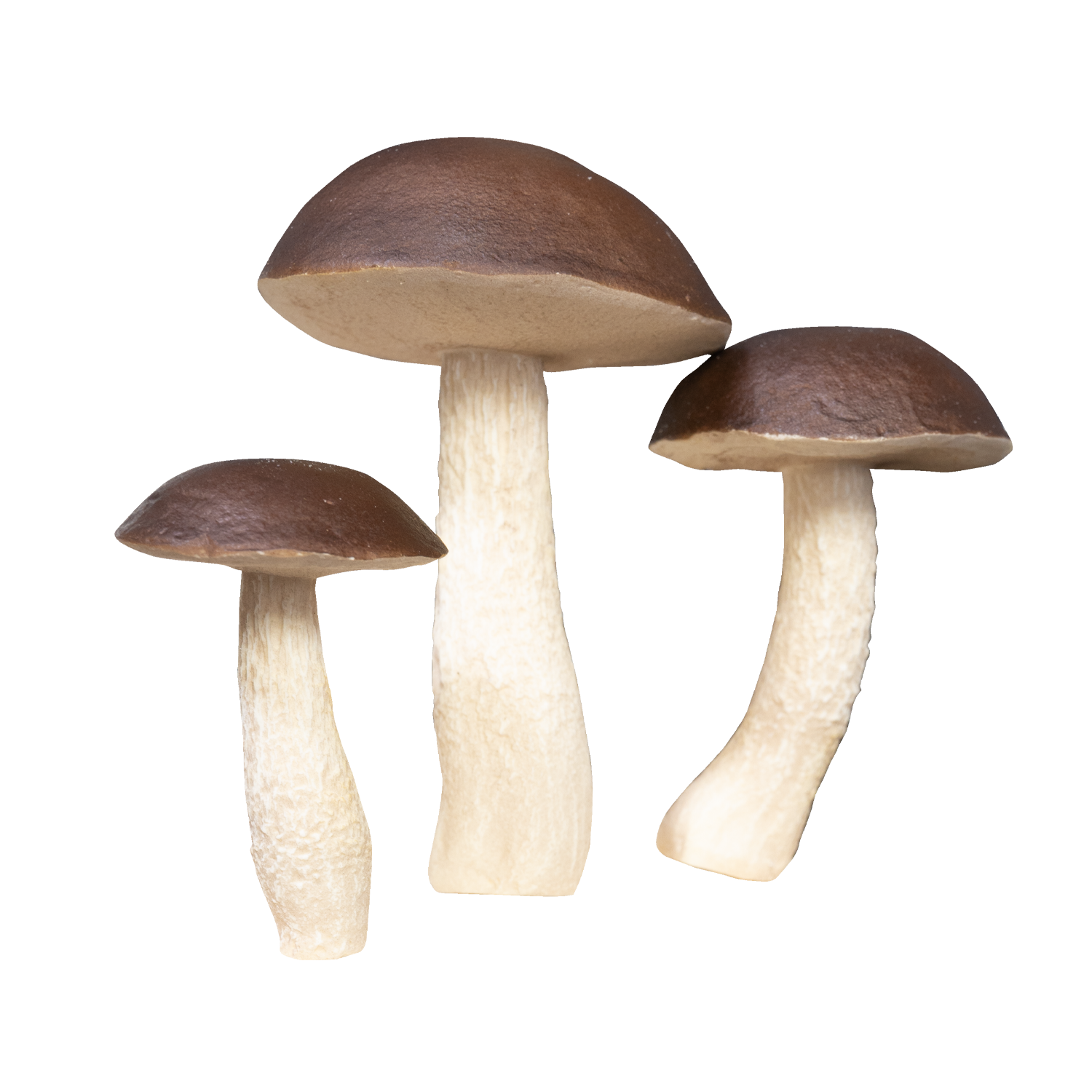 Artificial Mushrooms