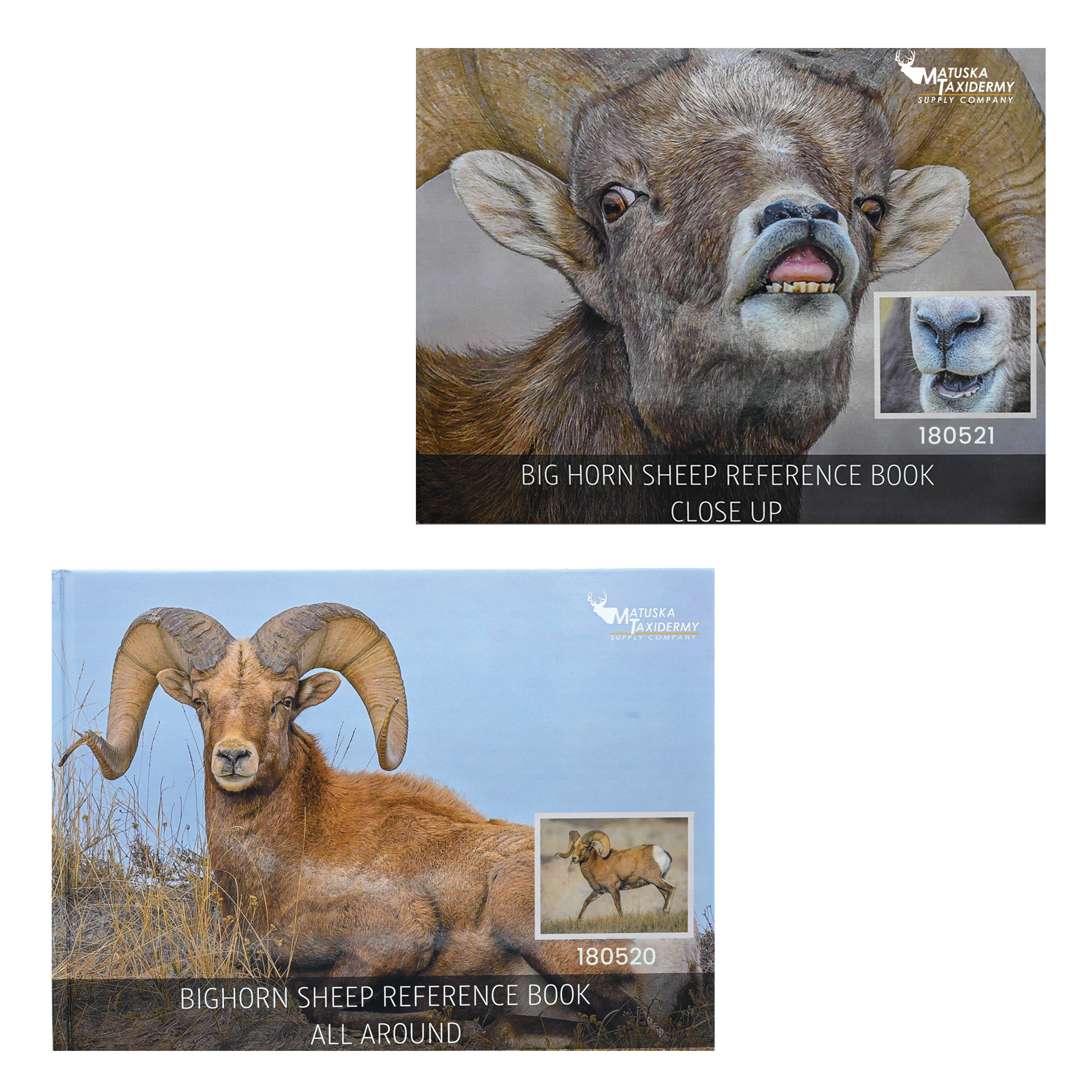 Bighorn Sheep Large Reference Book - Images by Dan Verrips