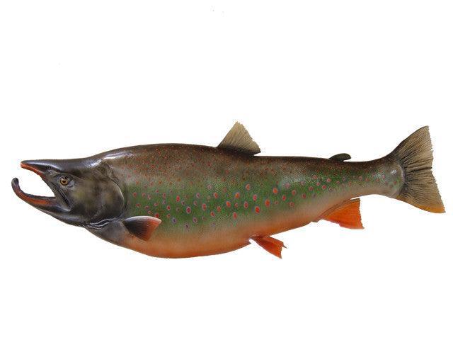 Arctic Char Fish Reproduction - Matuska Taxidermy Supply Company