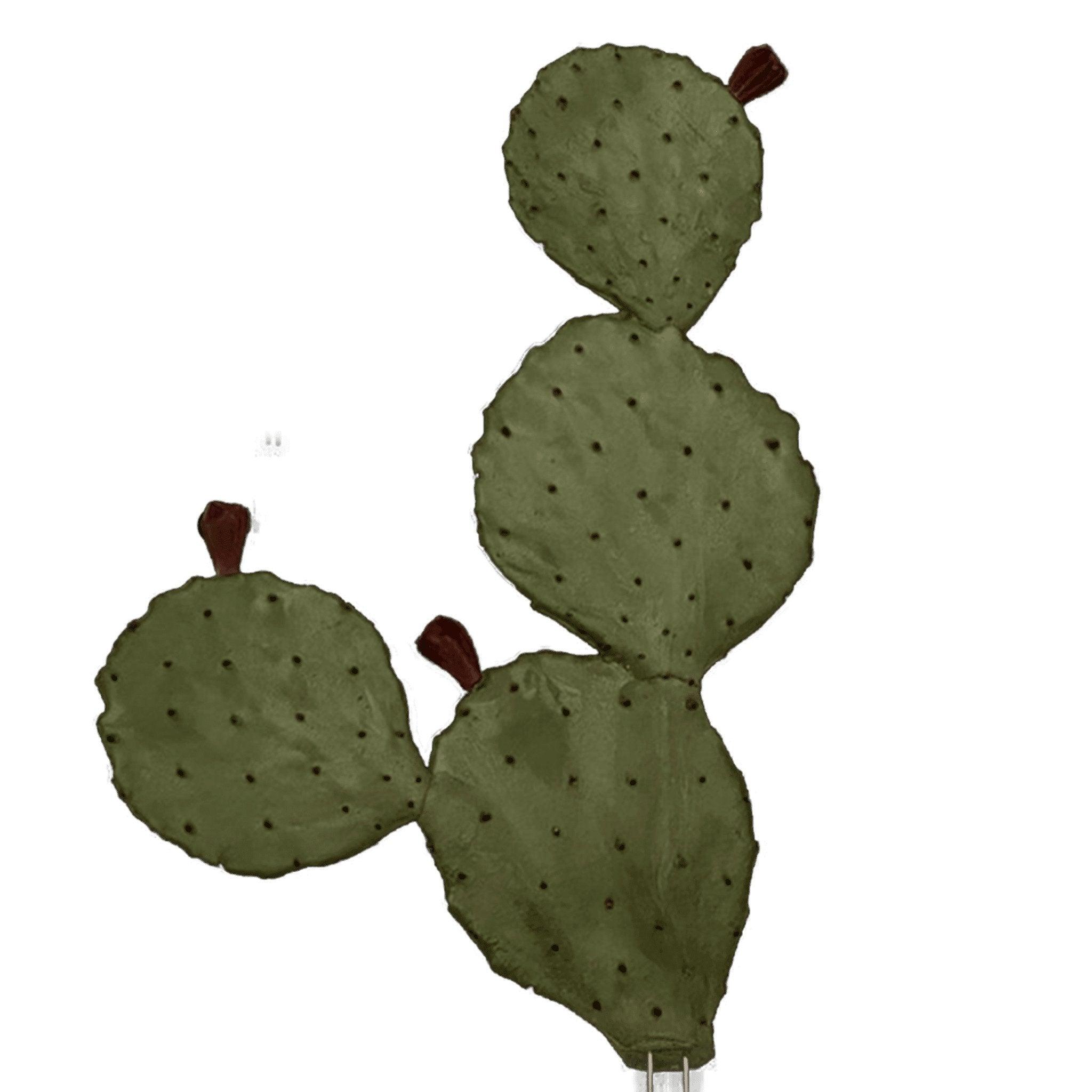 Artificial Loose Leaf Cactus - Matuska Taxidermy Supply Company