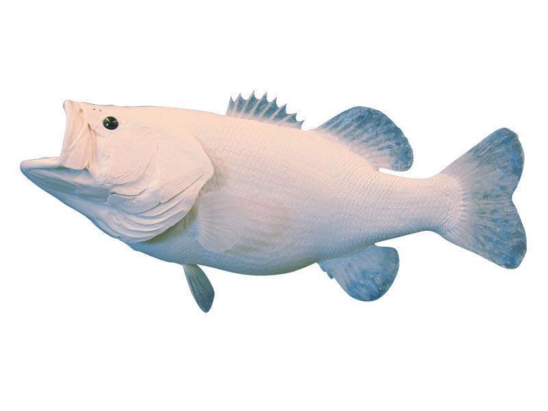 Bass, Largemouth Fish Reproduction (Head Out - Tail Out) - Matuska Taxidermy Supply Company