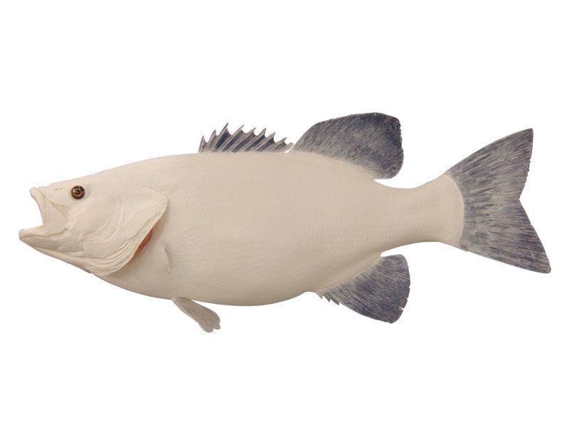 Bass, Smallmouth Fish Reproduction (Head Out - Tail Out) - Matuska Taxidermy Supply Company