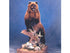 Bear-Grizzly (Left Turn 3/4 Up Standing) - Matuska Taxidermy Supply Company
