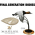 Bird Bodies (Final Generation) - Matuska Taxidermy Supply Company