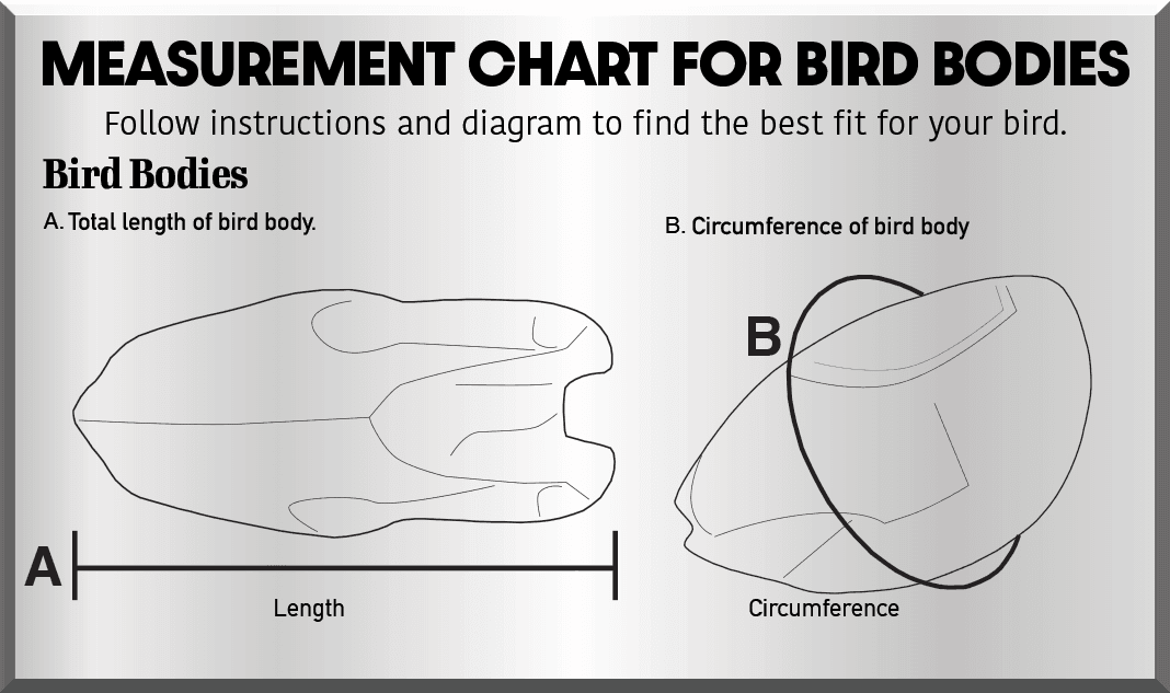 Bird Bodies (Summit Series) *select sizes available - Matuska Taxidermy Supply Company
