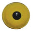 Bird Eyes (Aspheric Style 123) - Matuska Taxidermy Supply Company