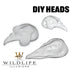 Bird Heads (DIY) - Matuska Taxidermy Supply Company