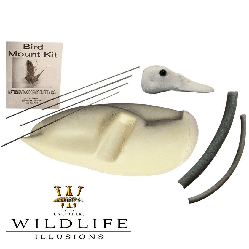 Bird Mounting Kits - Matuska Taxidermy Supply Company