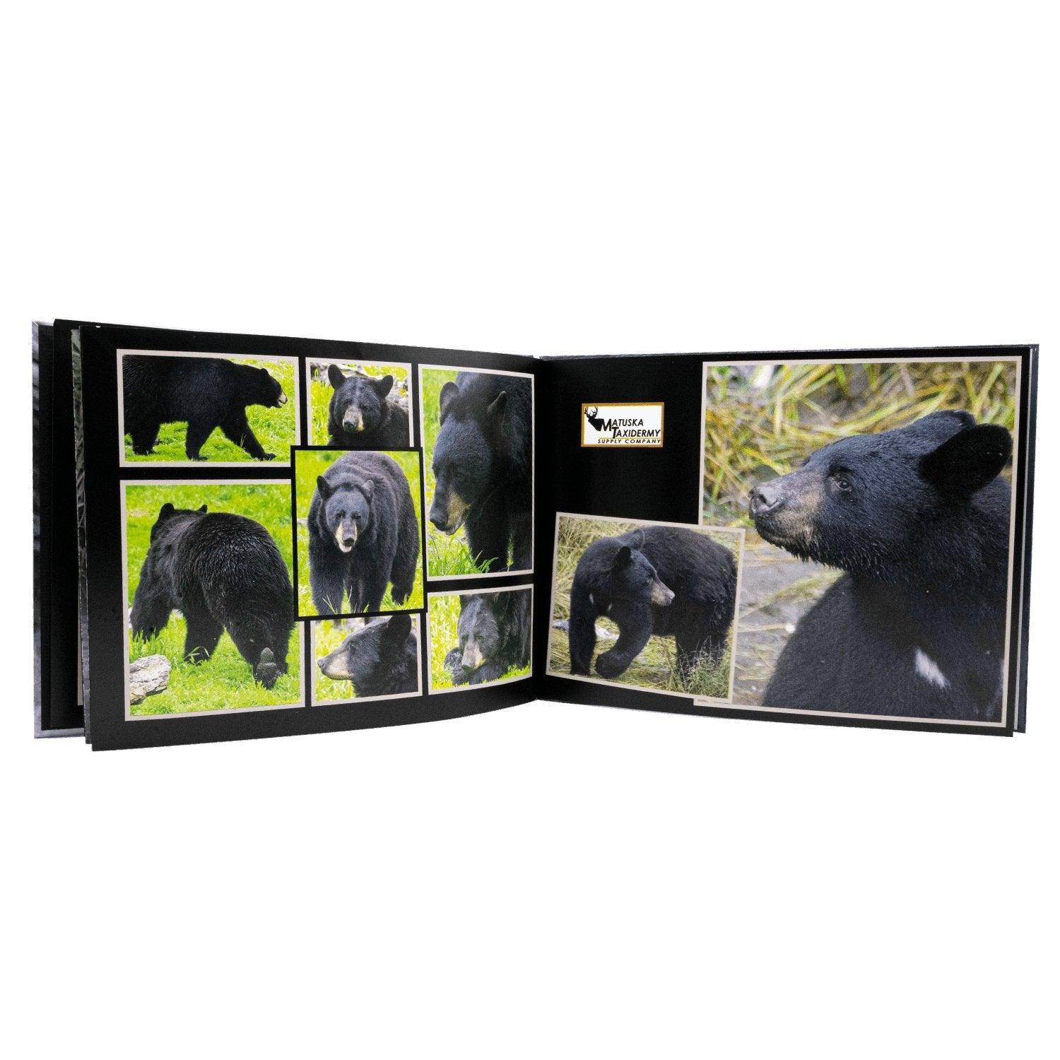 Black Bear Reference Books by Phil Wilson - Matuska Taxidermy Supply Company
