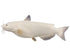 Catfish-Channel Fish Reproduction (S-Curve) - Matuska Taxidermy Supply Company