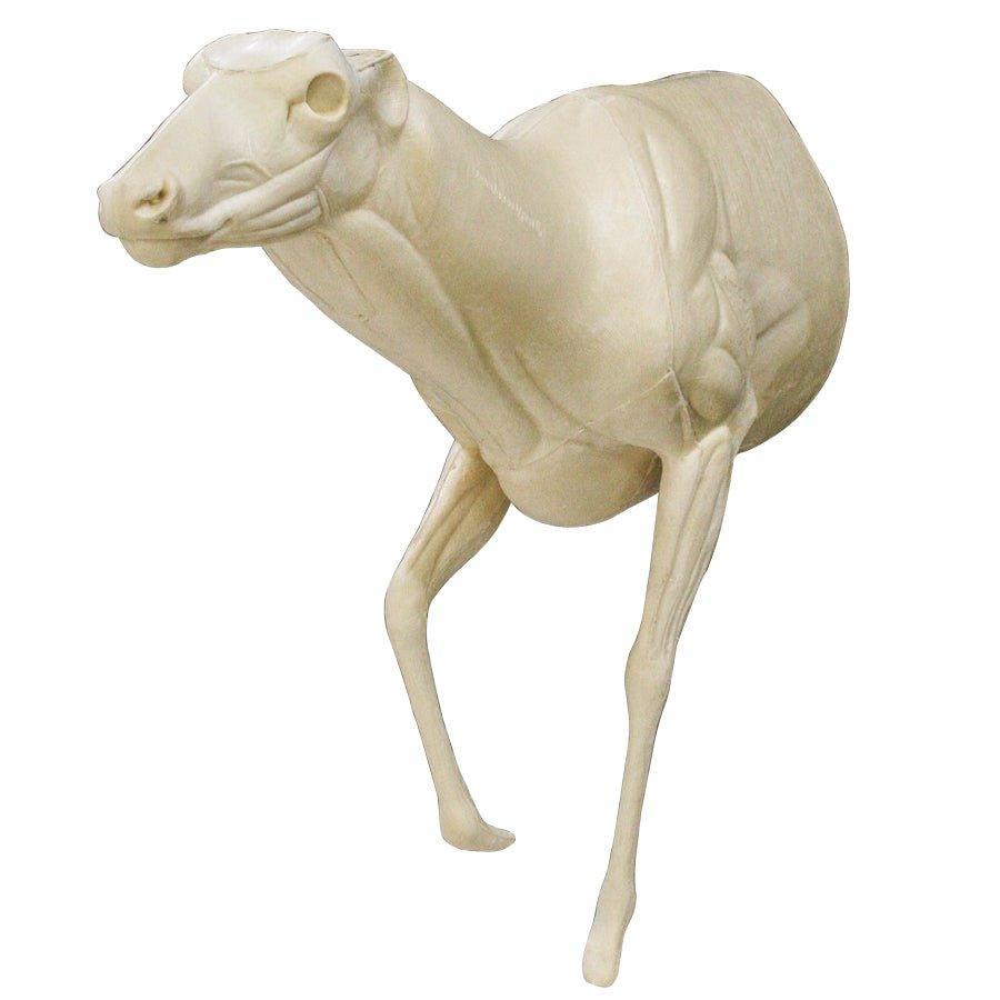 Deer-Mule (Sneak Walking Lifesize) - Matuska Taxidermy Supply Company