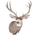 Deer-Mule (Upright) by Dennis Macelvain - Matuska Taxidermy Supply Company