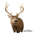 Deer-Whitetail (Full Sneak-Offset) - Matuska Taxidermy Supply Company