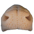 Deer-Whitetail Nose Pad Reference by Champions Choice - Matuska Taxidermy Supply Company