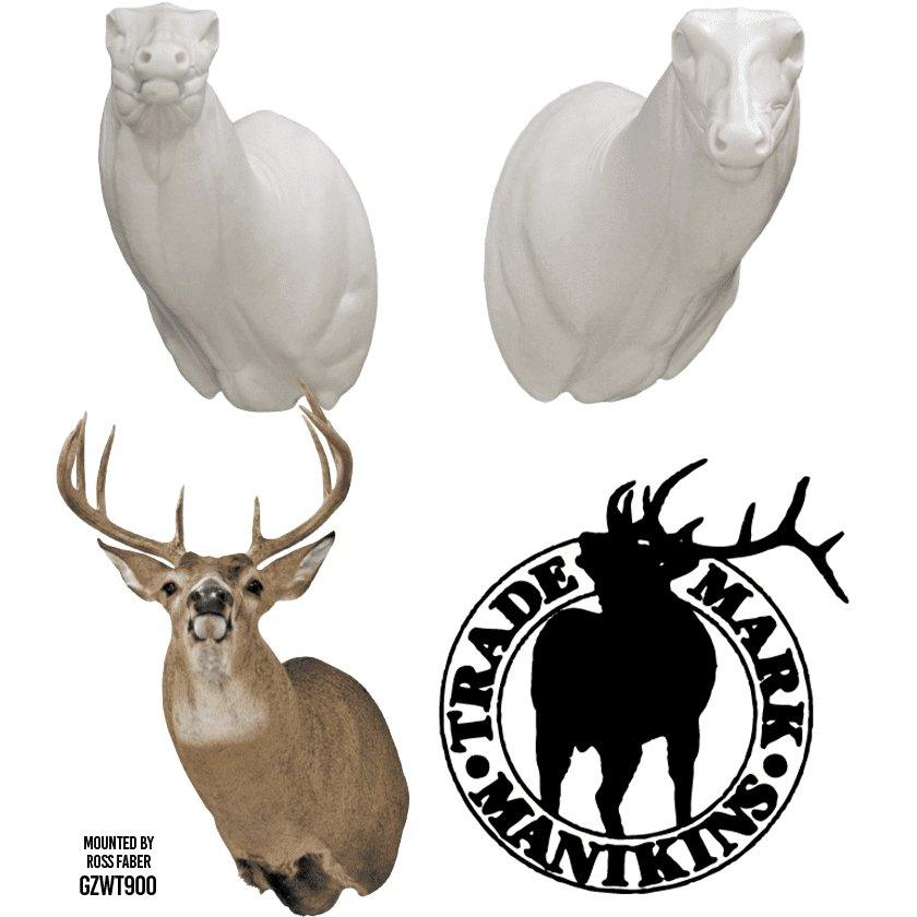 Deer-Whitetail (Semi-Sneak) - Matuska Taxidermy Supply Company