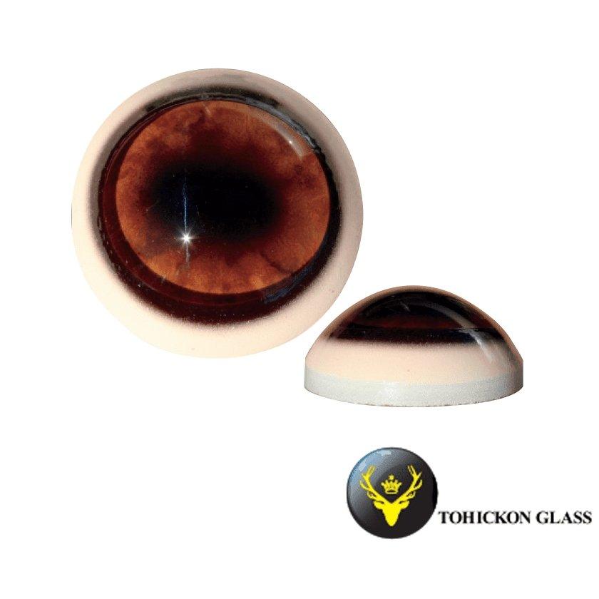 Elk Eyes (Tohickon Glass) - Matuska Taxidermy Supply Company