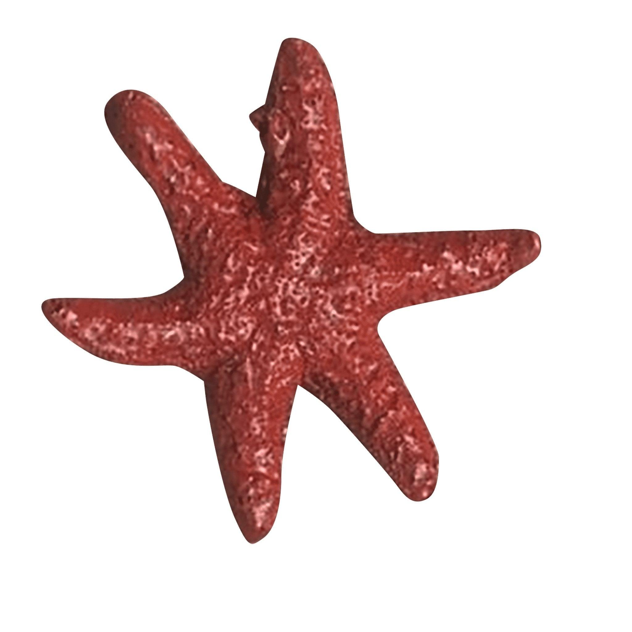 Flexible Starfish (small) - Matuska Taxidermy Supply Company