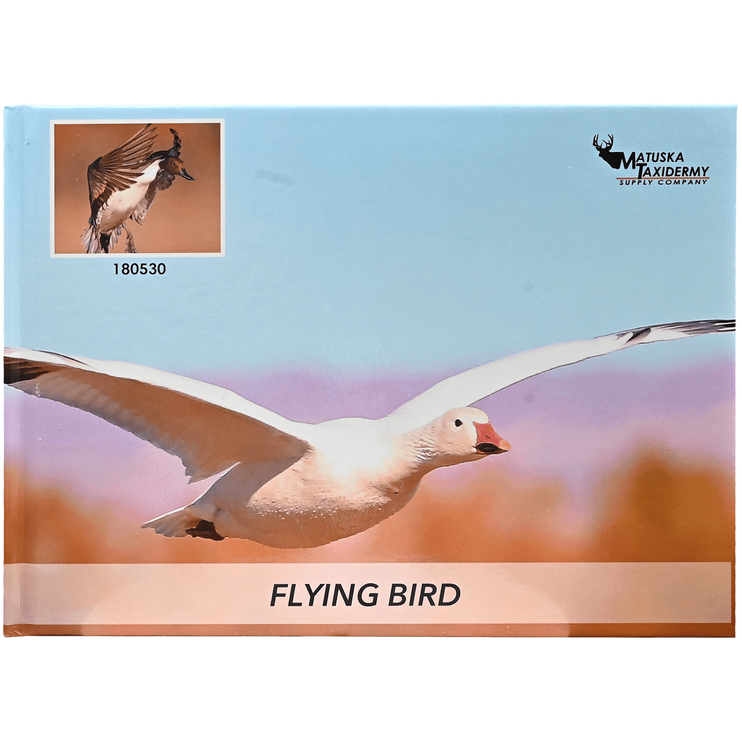 Flying Bird Reference Photo Book - Matuska Taxidermy Supply Company