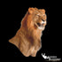 Lion (Pedestal) - Matuska Taxidermy Supply Company