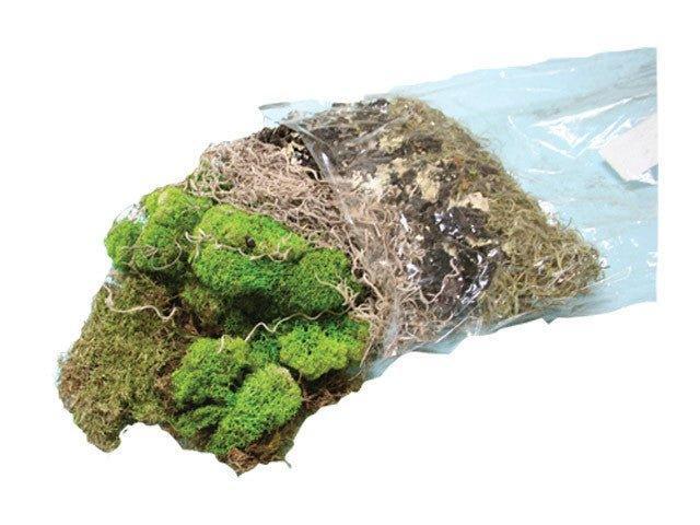 Moss Assortment with Black Lichen - Matuska Taxidermy Supply Company