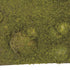 Moss Mat (Thick Green/Brown) - Matuska Taxidermy Supply Company