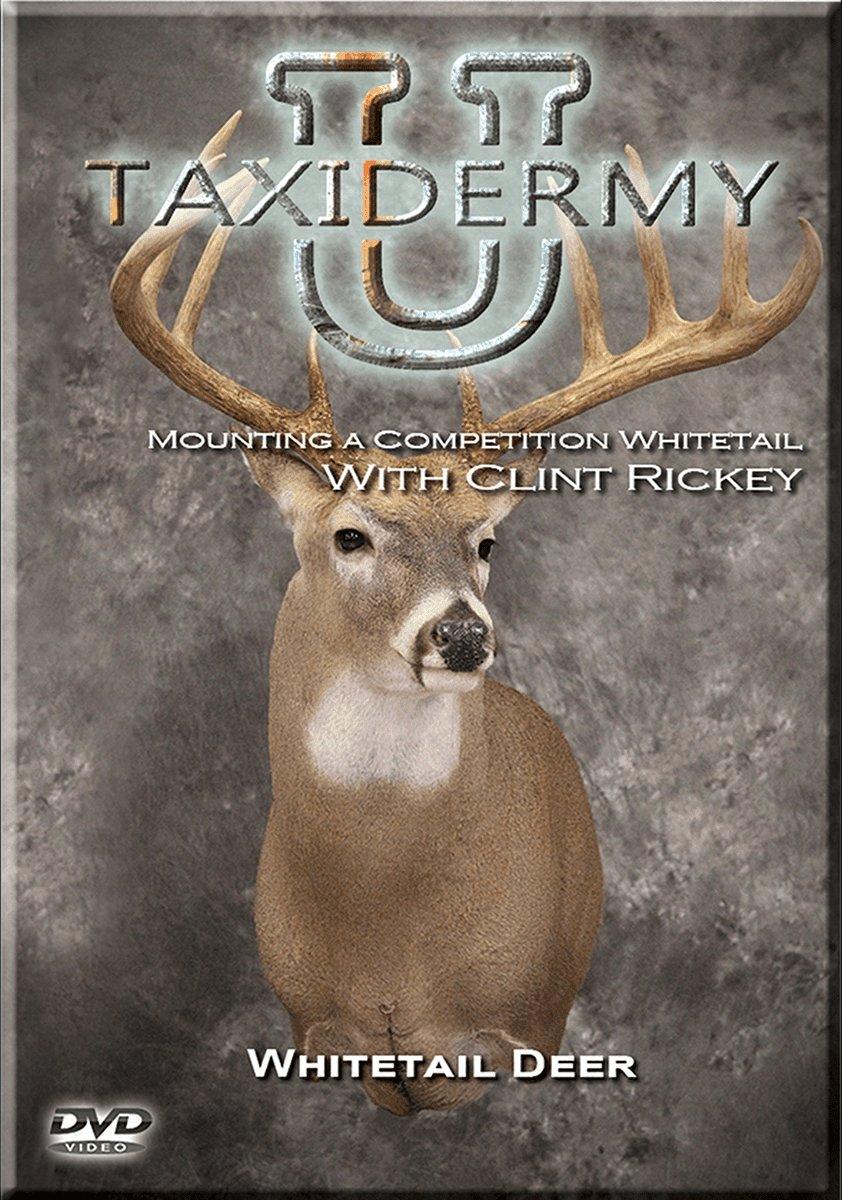 Mounting a Competition Whitetail w/ Clint Rickey DVD by Taxidermy University - Matuska Taxidermy Supply Company