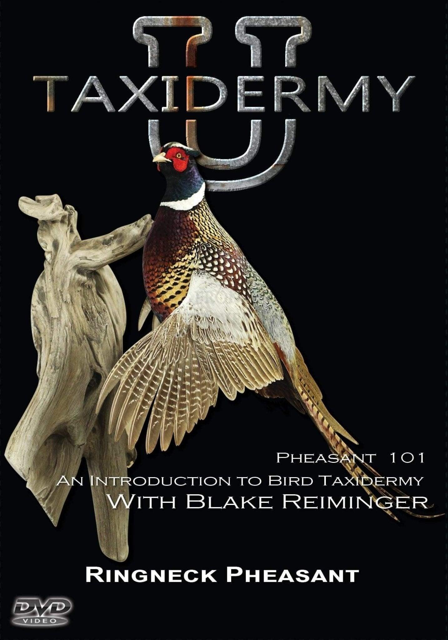Mounting a Pheasant 101 w/ Blake Reiminger DVD by Taxidermy University - Matuska Taxidermy Supply Company
