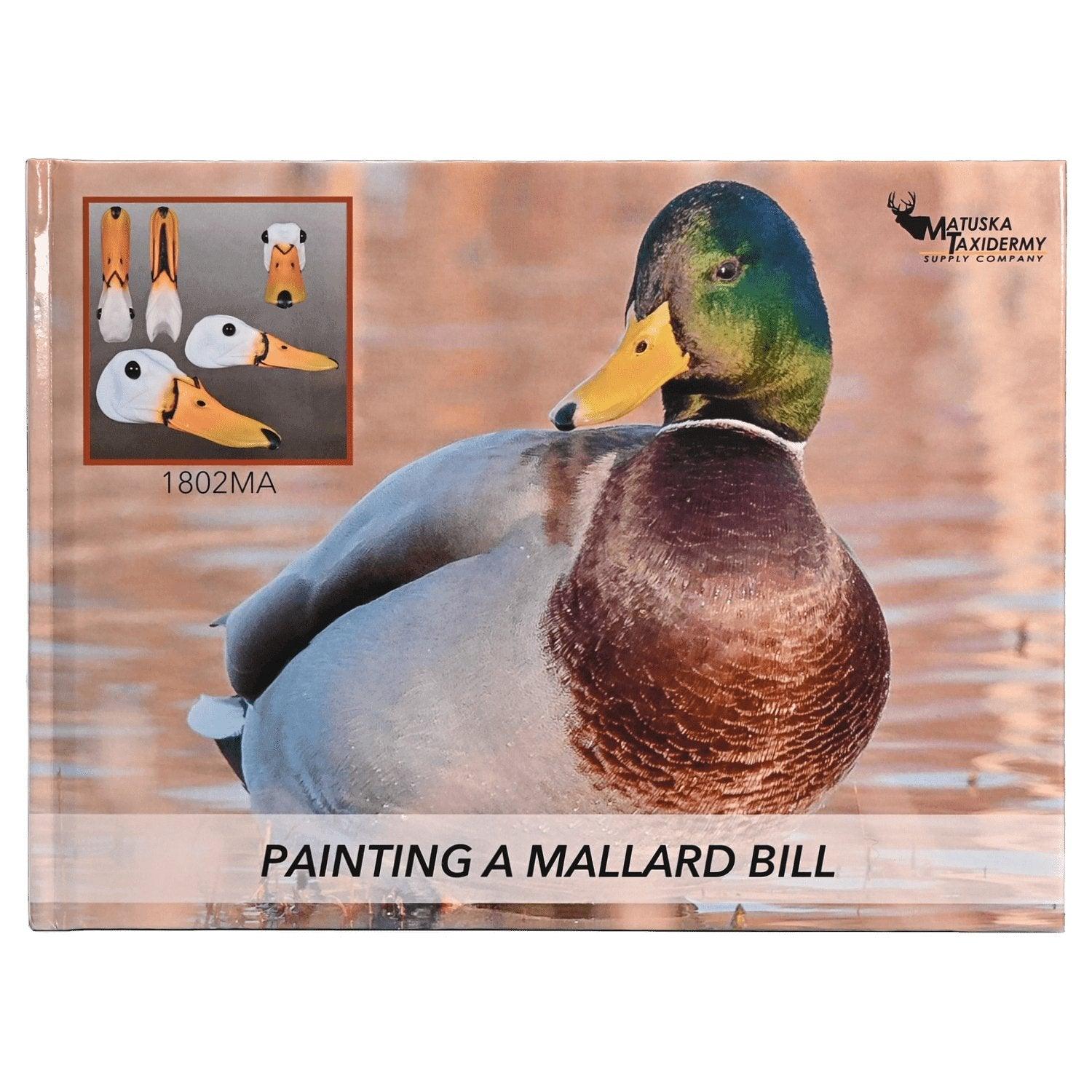 Painting a Bird Bill or Beak Reference Books - Matuska Taxidermy Supply Company