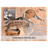Painting a Bird Bill or Beak Reference Books - Matuska Taxidermy Supply Company