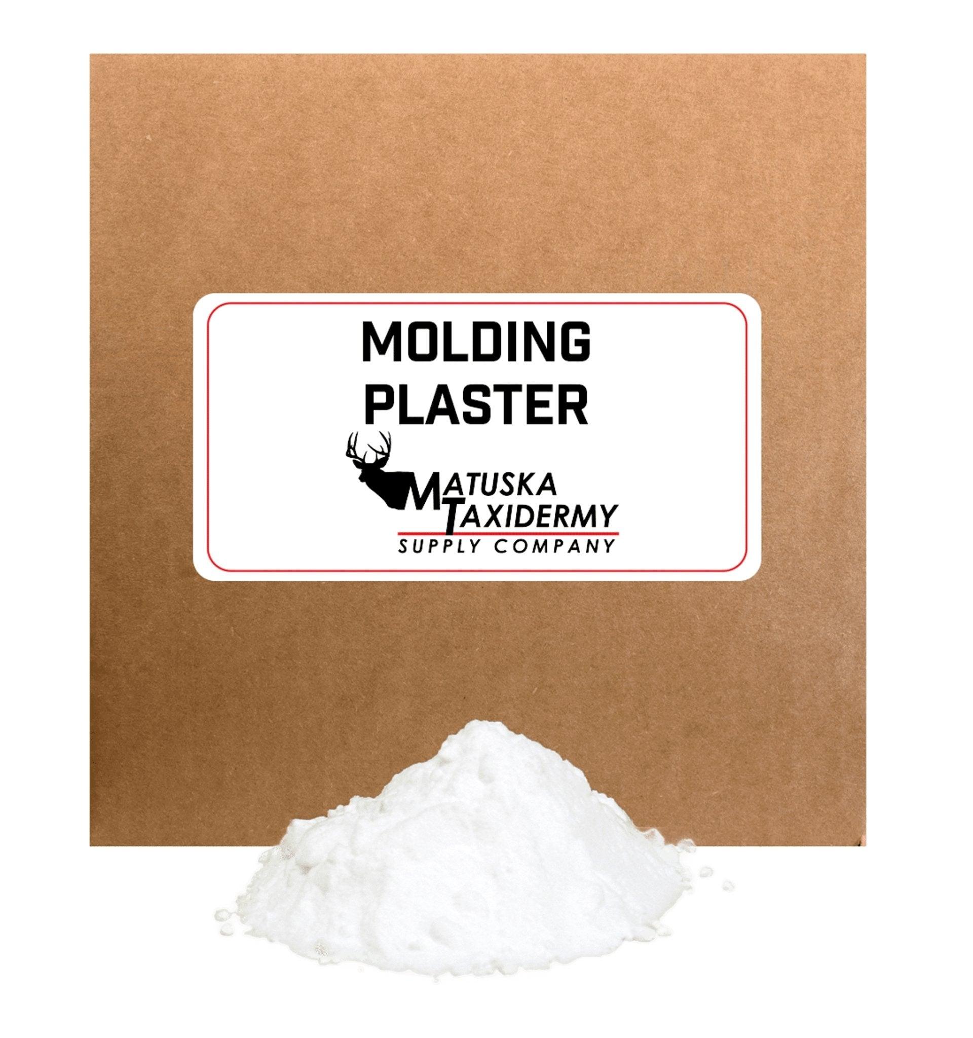 Plaster (#1 Molding) - Matuska Taxidermy Supply Company