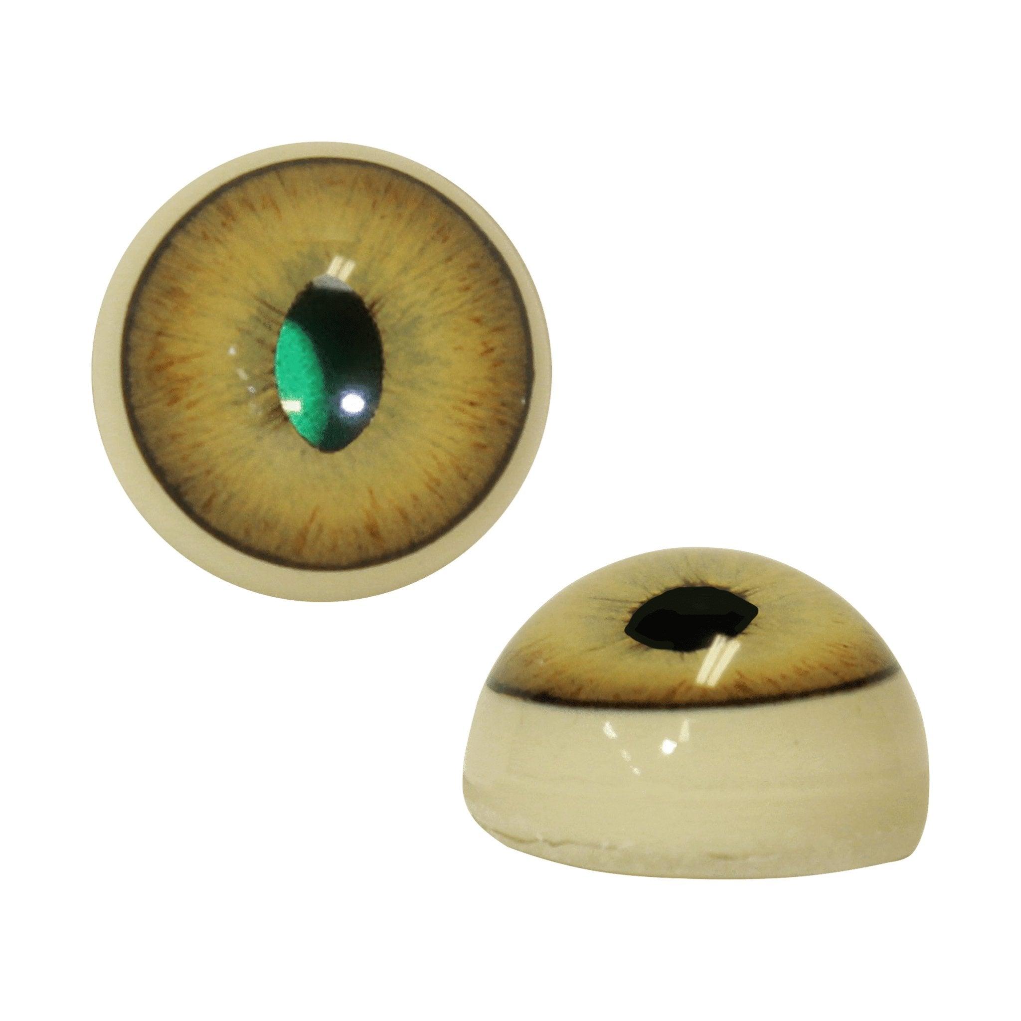 Reflective Eyes (All Species) - Matuska Taxidermy Supply Company