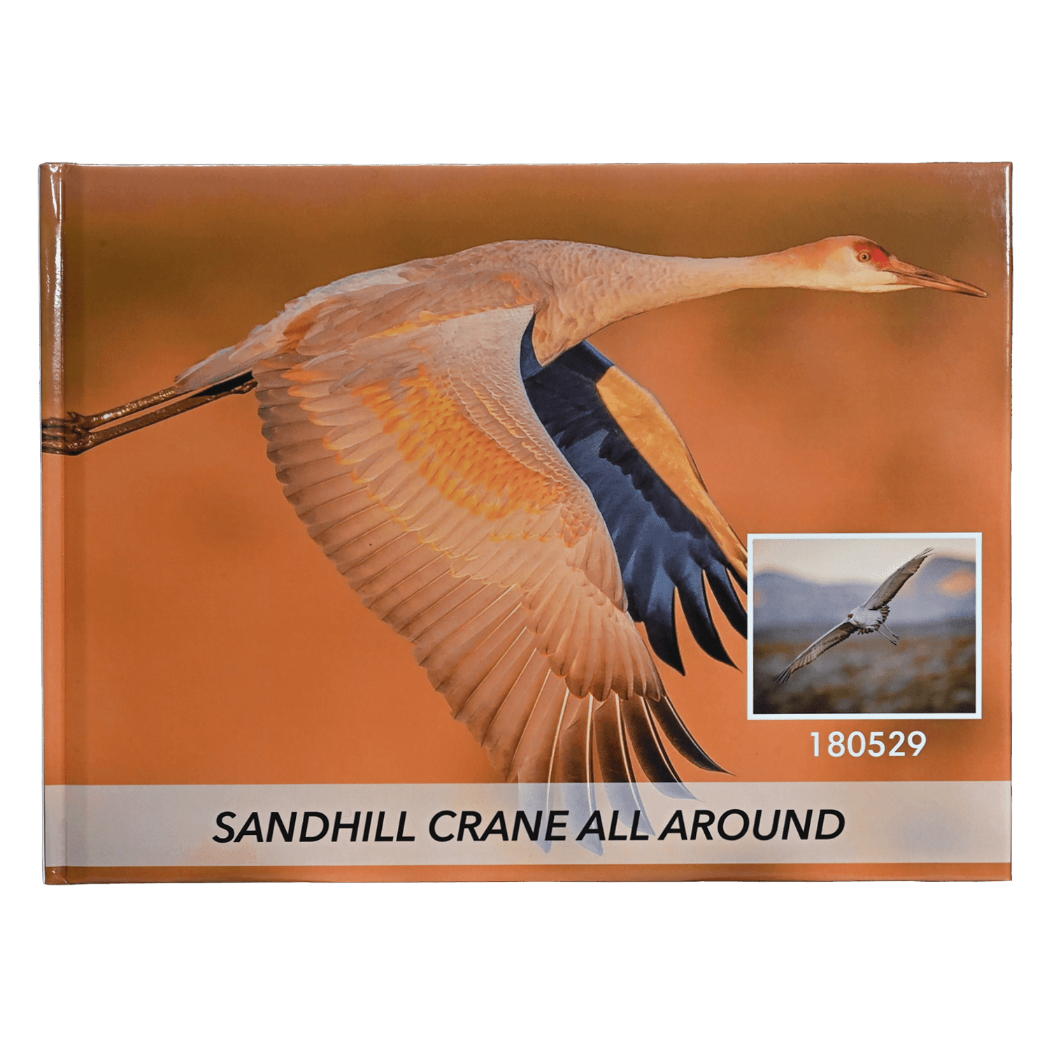 Sandhill Crane Reference Book - Images by Dan Verrips - Matuska Taxidermy Supply Company